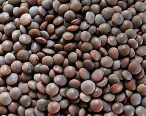 Brown lintel 1kg عدس بجبه 